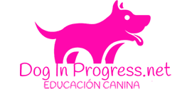 Dog in progress