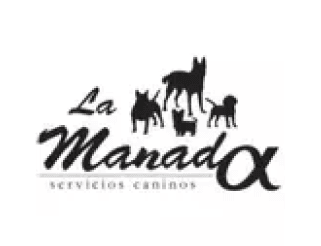 logo_lamanadalalpha_color_245px