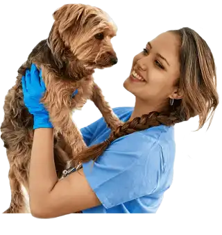 Asistente y Auxiliar Técnico Veterinario online