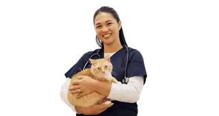 Especialización Dual: Emprendimiento e IA Generativa