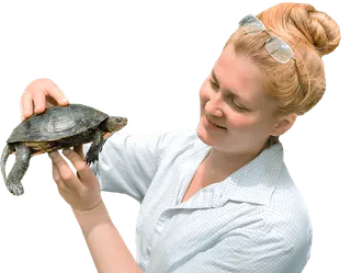 Herpetología online: Especialista en Anfibios y Reptiles