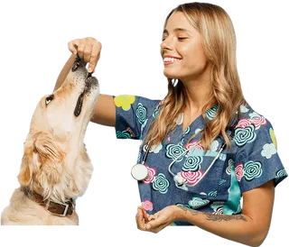 Nutrición Animal: Canina, Felina y Equina online