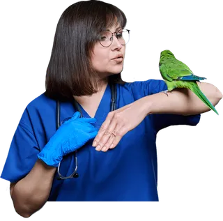 Ornitología online: Especialista en Aves Exóticas