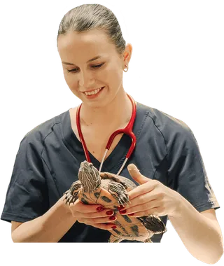 Técnico en Animales Exóticos online