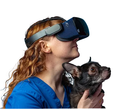 Suma IA y Emprendimiento a tu formación animal