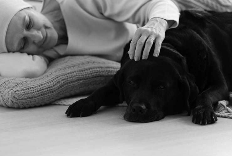 trabajar-en-terapia-asistida-con-animales