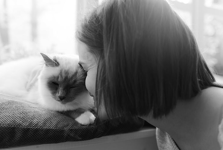 terapia con gatos