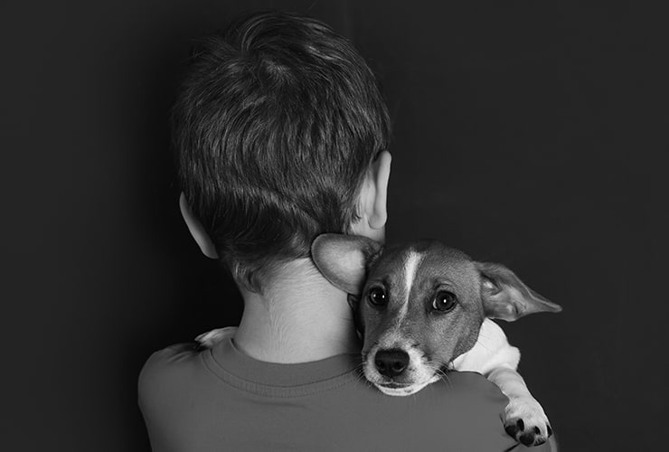 Autismo y animales terapia asistida