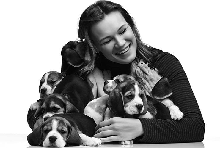 terapia para el estrés – terapeutas caninos