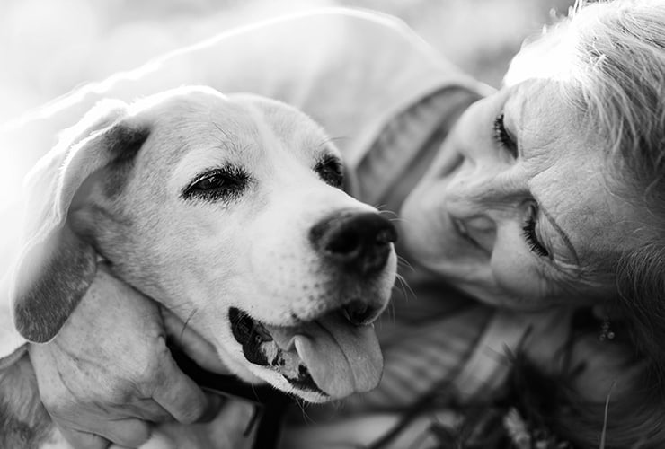 Terapia con animales en residencias – asistencia a los mayores