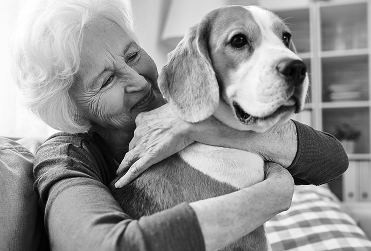 Terapia emocional con perros – Terapia Asistida con Animales