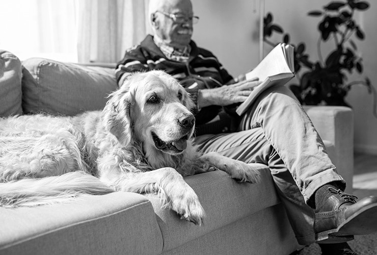 Terapia con Animales y Alzheimer – Intervenciones