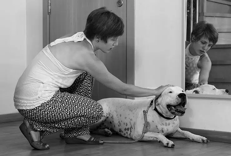 borracho Objetivo Paloma El método espejo en el adiestramiento canino | Nubika