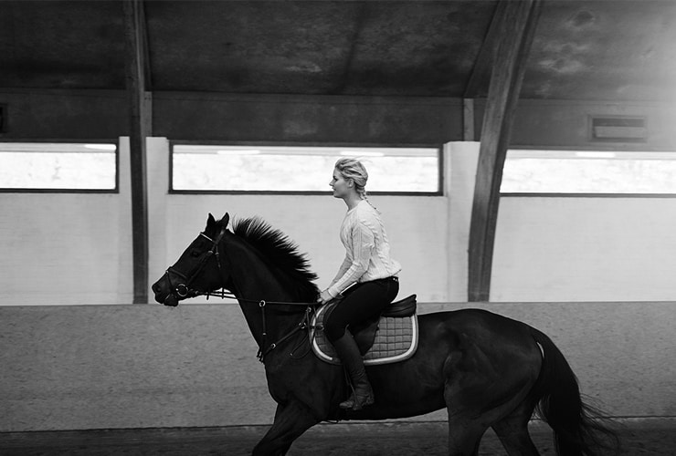 Coaching con caballos − Terapia Asistida con Animales