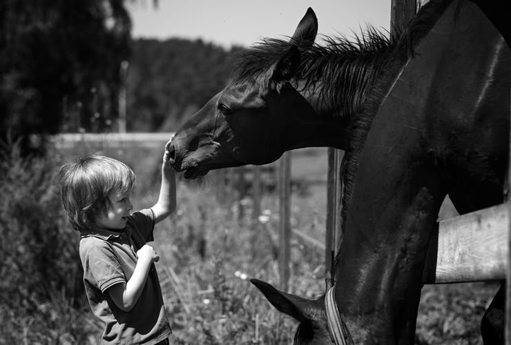 Qué es el volteo terapéutico − Terapia Asistida con caballos