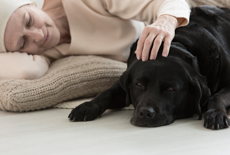 Los perros en hospitales − Terapia Asistida con Animales