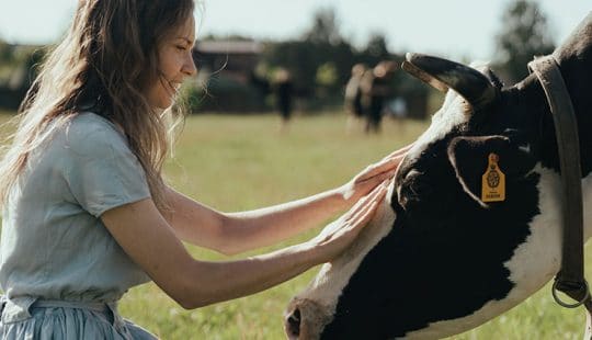 Soluciones para el estrés: abrazar vacas − Terapia Asistida con Animales