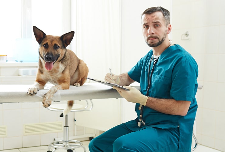 ¿Qué es la zoonosis? − Asistente y Auxiliar Técnico Veterinario