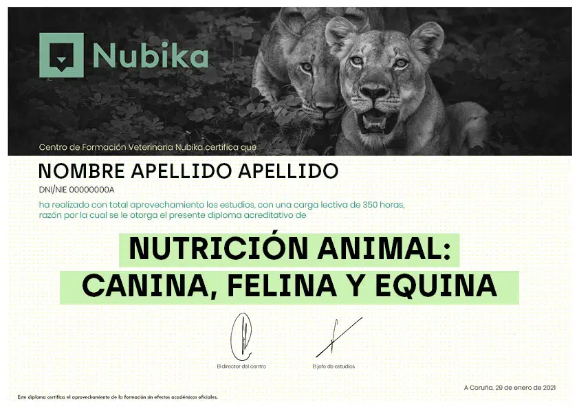 Curso Nutrición Animal: canina, felina y equina | Nubika