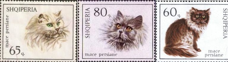 4-gato-persa-tradicional-sellos-albania-1966