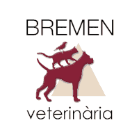 Bremen Veterinaria