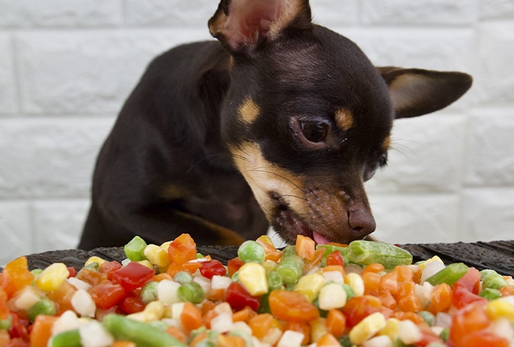 qué verduras pueden comer los perros