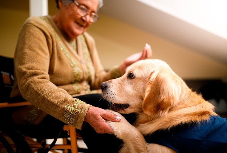 terapia-asistida-perros