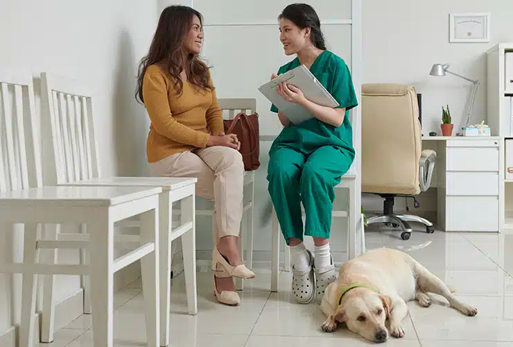 Cuánto dura la carrera de veterinaria? | Nubika